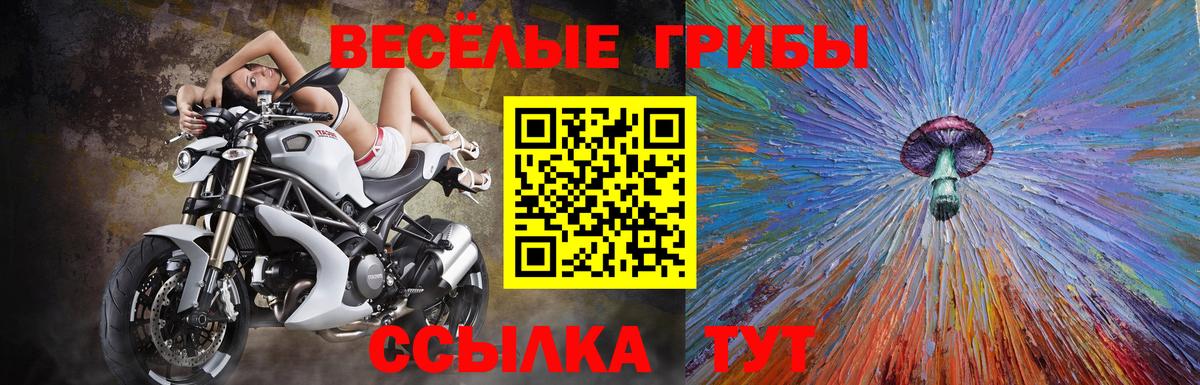 Мичуринск  Галлюциногенные грибы Psilocybe  Вход с VPN 